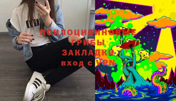 ПСИЛОЦИБИНОВЫЕ ГРИБЫ Абинск