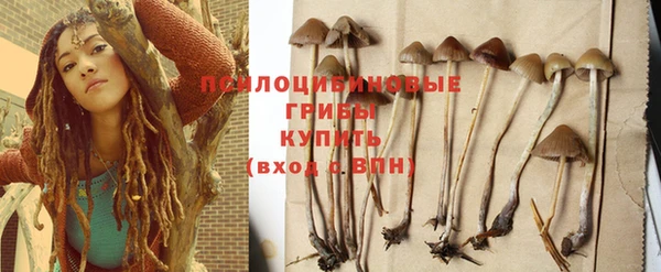 PSILOCYBIN Абдулино