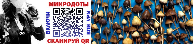 KRAKEN ONION как найти Юрюзань Псилоцибиновые грибы Psilocybe